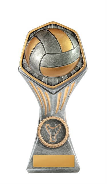 22b-ri13b_discount-volleyball-trophies.jpg