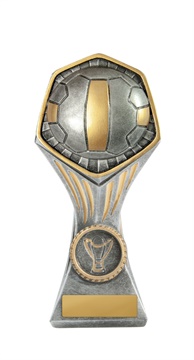 22b-ri8b_discount-netball-trophies.jpg