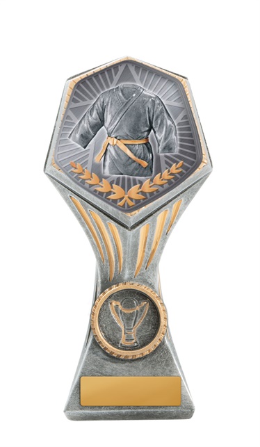 22b-ts11g_discount-general-sports-trophies.jpg