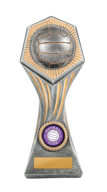 22b-2dc8ga_discount-netball-trophies.jpg
