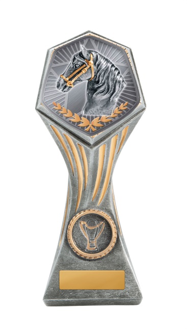 22b-ts29g_discount-general-sports-trophies.jpg