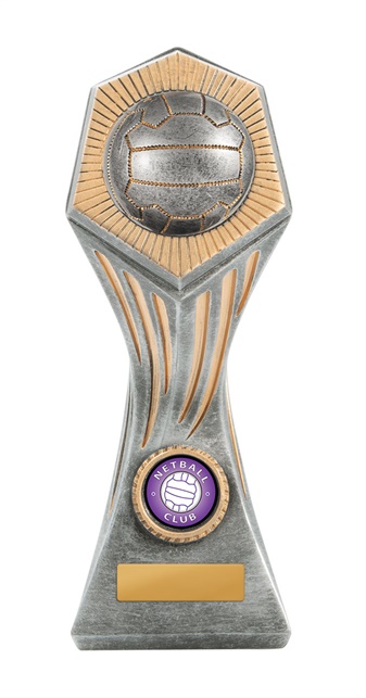 22b-2dc8ga_discount-netball-trophies.jpg
