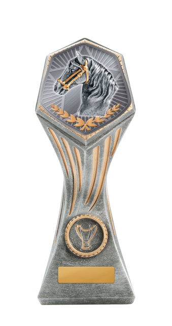22b-ts29g_discount-general-sports-trophies.jpg