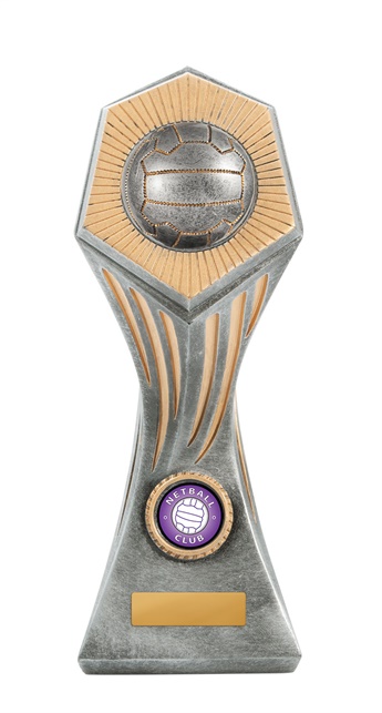 22b-2dc8ga_discount-netball-trophies.jpg