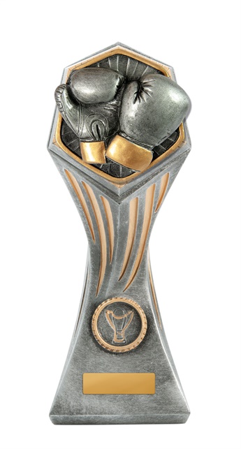 22b-ri32g_discount-general-sports-trophies.jpg
