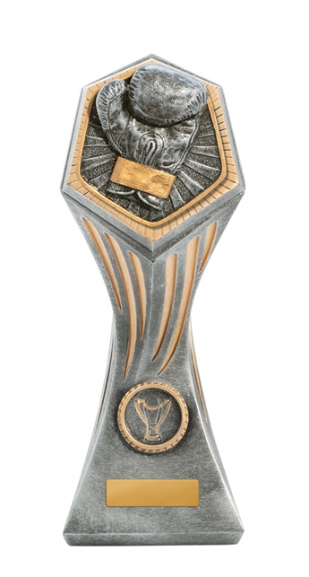 22b-ri32ga_discount-general-sports-trophies.jpg