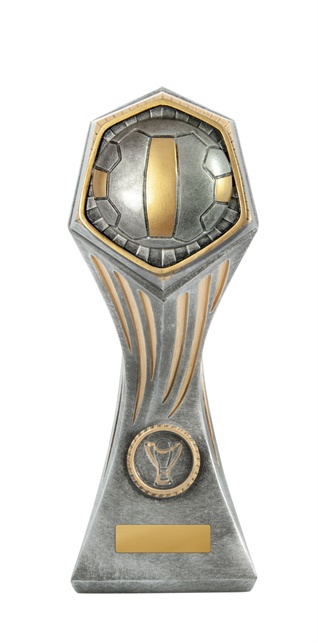 22b-ri8b_discount-netball-trophies.jpg