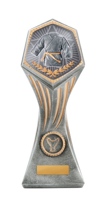 22b-ts11g_discount-general-sports-trophies.jpg