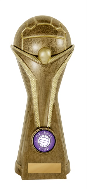 231-8bra_discount-netball-trophies.jpg