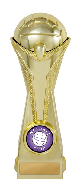 231-8ga_discount-netball-trophies.jpg