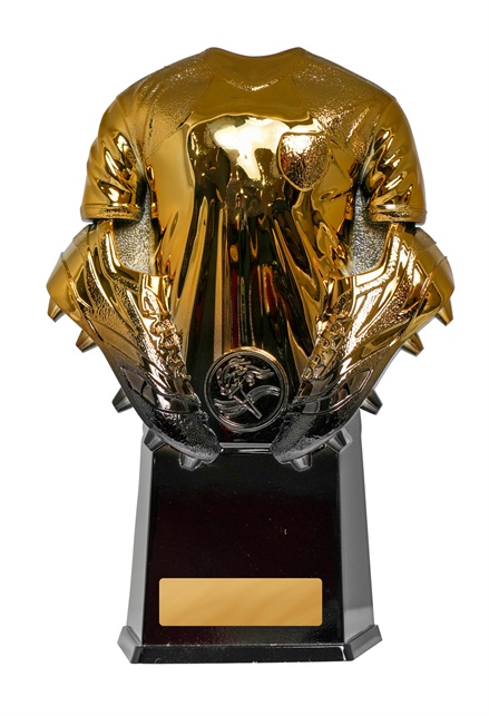 234gbka_discount-soccer-football-trophies.jpg