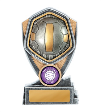 23a-ri8b_discount-netball-trophies.jpg