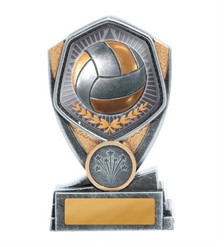 23a-ts13b_discount-volleyball-trophies.jpg