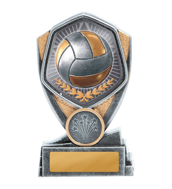 23a-ts13b_discount-volleyball-trophies.jpg
