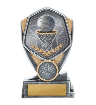 23a-ts8g_discount-netball-trophies.jpg