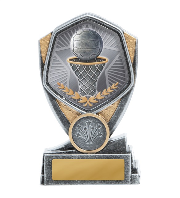 23a-ts8g_discount-netball-trophies.jpg