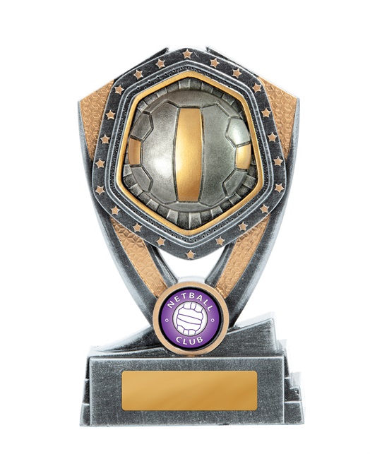 23a-ri8b_discount-netball-trophies.jpg