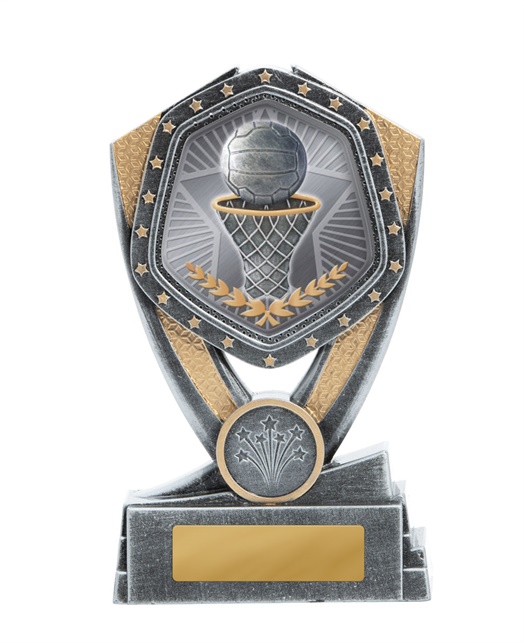 23a-ts8g_discount-netball-trophies.jpg