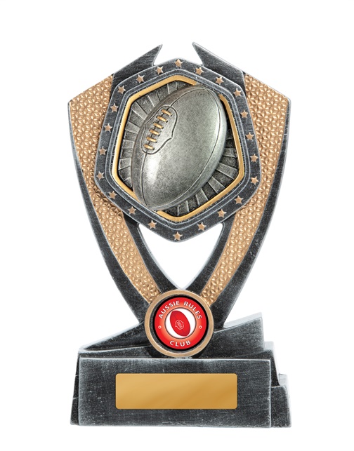 23a-ri3b_discount-aussie-rules-afl-trophies.jpg