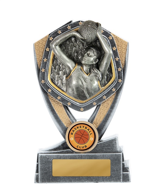 23b-ri7f_discount-basketball-trophies.jpg