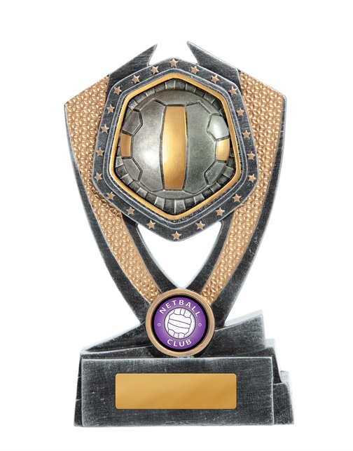 23a-ri8b_discount-netball-trophies.jpg