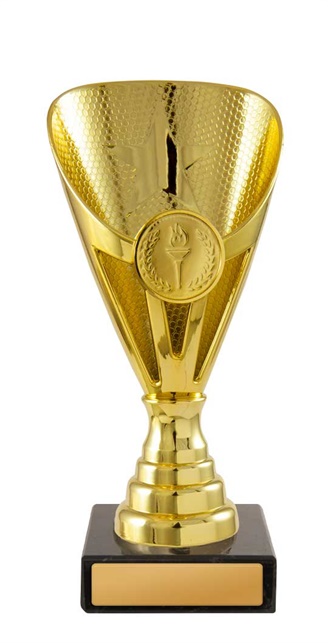 245g-1_discount-general-sports-trophies.jpg