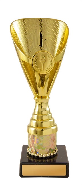 245g-1_discount-general-sports-trophies.jpg
