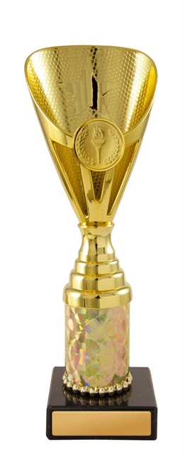 245g-1_discount-general-sports-trophies.jpg