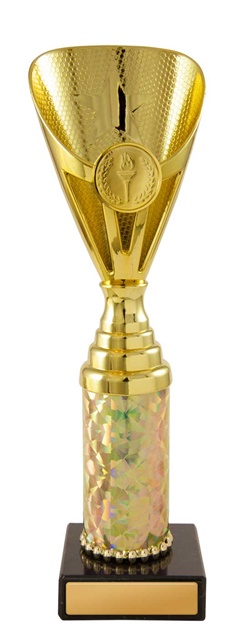 245g-1_discount-general-sports-trophies.jpg
