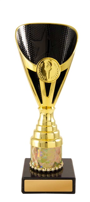 245gbk-1_discount-general-sports-trophies.jpg
