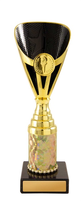 245gbk-1_discount-general-sports-trophies.jpg