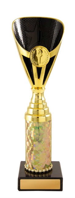 245gbk-1_discount-general-sports-trophies.jpg