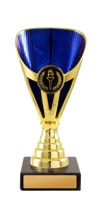 245gbu-1_discount-general-sports-trophies.jpg