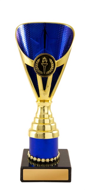 245gbu-1_discount-general-sports-trophies.jpg