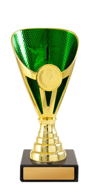 245ggn-1_discount-general-sports-trophies.jpg