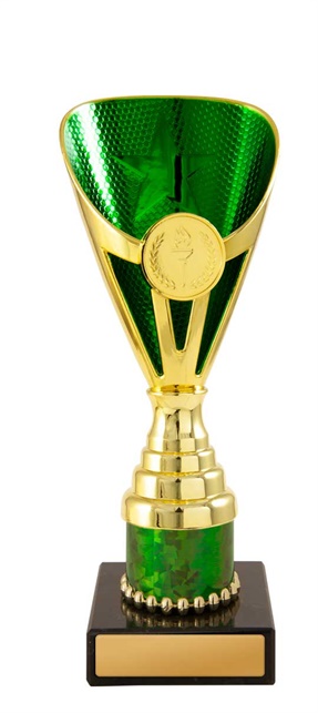 245ggn-1_discount-general-sports-trophies.jpg