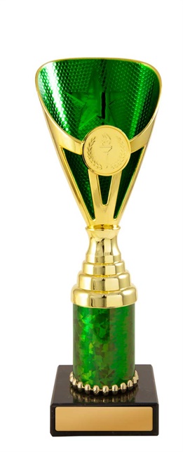 245ggn-1_discount-general-sports-trophies.jpg