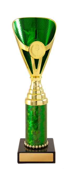 245ggn-1_discount-general-sports-trophies.jpg