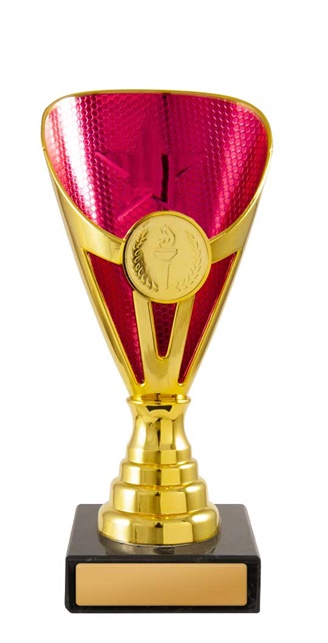 245gpk-1_discount-general-sports-trophies.jpg