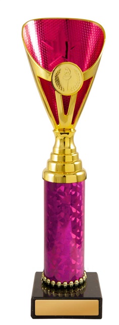 245gpk-1_discount-general-sports-trophies.jpg