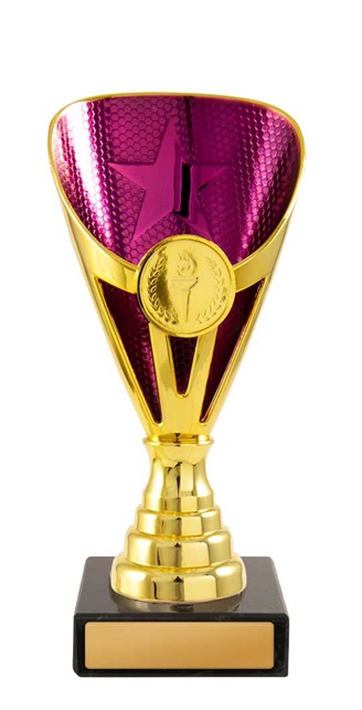 245gpu-1_discount-general-sports-trophies.jpg