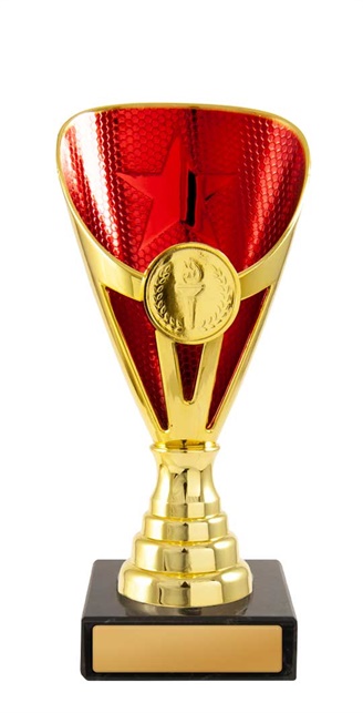 245gr-1_discount-general-sports-trophies.jpg
