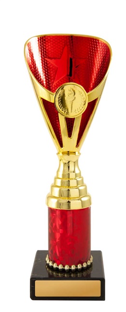 245gr-1_discount-general-sports-trophies.jpg