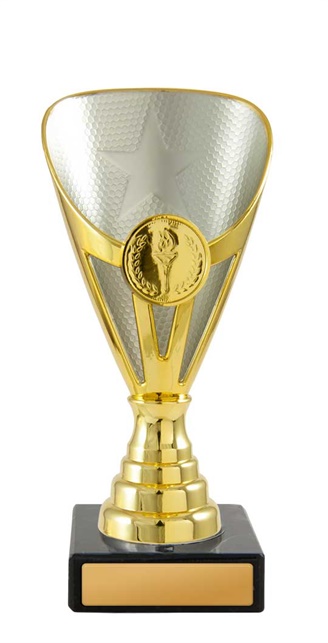 245gs-1_discount-general-sports-trophies.jpg