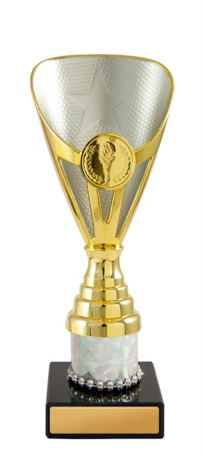 245gs-1_discount-general-sports-trophies.jpg