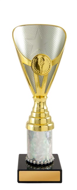 245gs-1_discount-general-sports-trophies.jpg