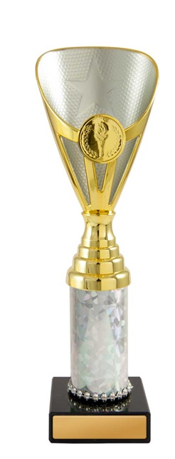 245gs-1_discount-general-sports-trophies.jpg