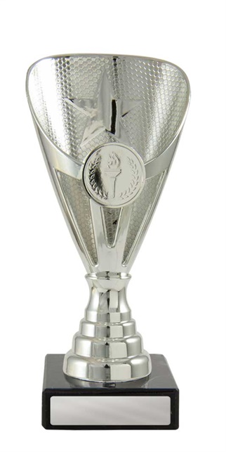 245s-1_discount-general-sports-trophies.jpg