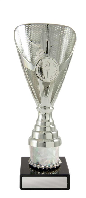 245s-1_discount-general-sports-trophies.jpg