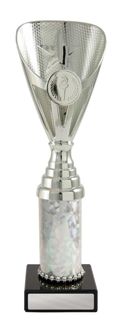 245s-1_discount-general-sports-trophies.jpg